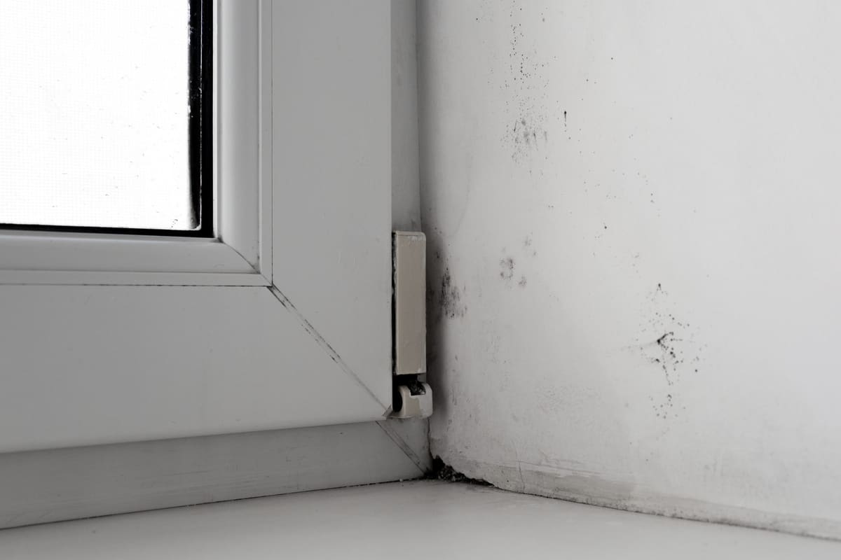 Rincón junto a una ventana de PVC con puntos negros de moho en la pared blanca, pegados al marco y en el encuentro con el alféizar.