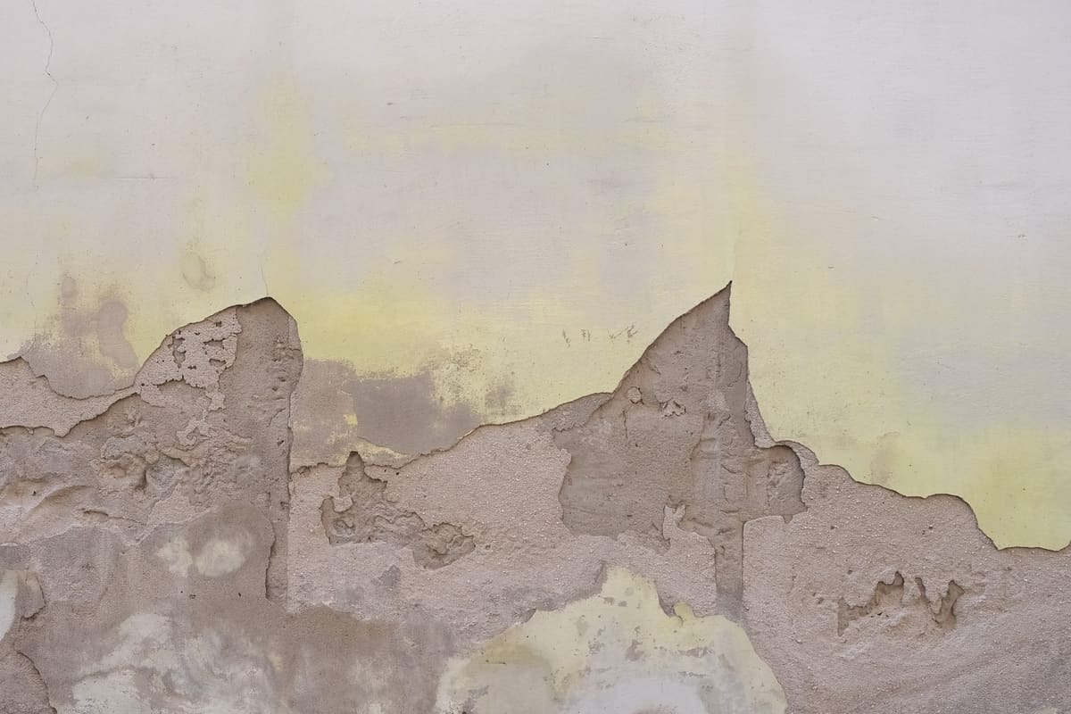 Pared pintada de blanco con la parte de abajo desconchada: el enlucido a la vista y, por encima, una franja de manchas amarillentas de humedad.